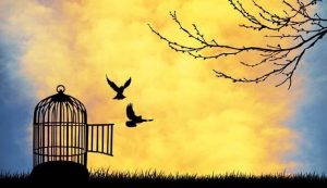 Generative Change Life Changing Coaching Online two birds flying free of their cage at sunset